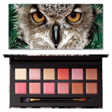 Палетка теней для век Сова #2 IMAGES Jungle Eye Shadow in 12 Colors XXM30608